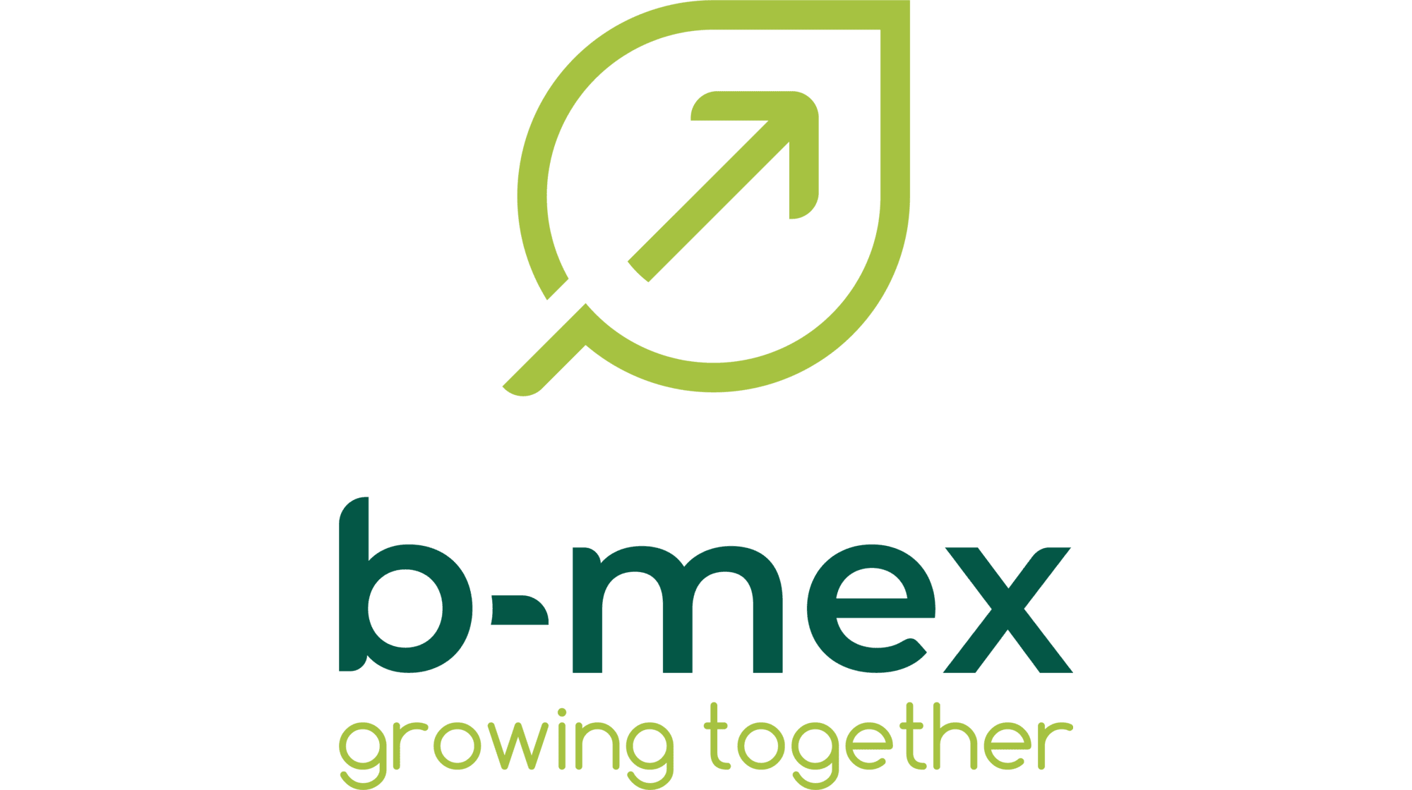 Bmex Logo